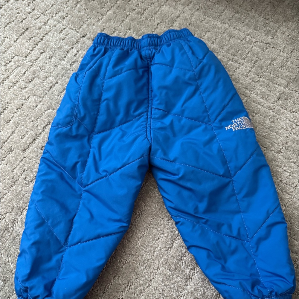 The North Face Blue Quilted Pants